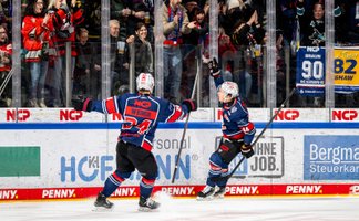 Zwei Nürnberg Ice Tigers Spiele auf dem Eis