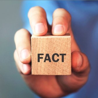 Eine Hand hält einen Holzblock mit der Aufschrift 'FACT', der auf Wissen und Wahrheit hinweist.