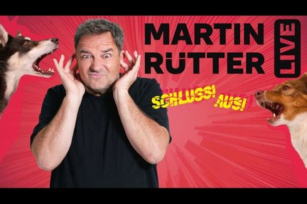 Martin Rütter hält sich die Ohren zu, während links und rechts von ihm je ein Hund bellt